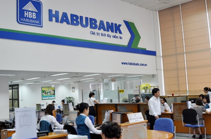 Habubank là ngân hàng TMCP đầu tiên của Việt Nam từ nguồn vốn điều lệ nhỏ bé 5.000 tỷ đồng, đến năm 2009 tổng tài sản của Habubank là 26.286 tỷ đồng